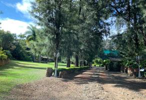 Tendo Glamping Tepoztlan Precios Actualizados 2020