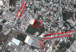 Foto de terreno habitacional en venta en  , sascalum, campeche, campeche, 11730900 No. 01