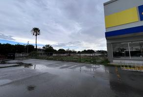 Foto de inmueble en S/N, Col. Del Valle C.P. 35157, Lerdo