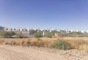 Foto de terreno habitacional en renta en s/n , el castaño, torreón, coahuila de zaragoza, 24934774 No. 01