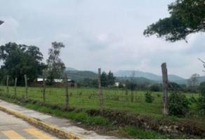Foto de terreno habitacional en venta en tepeji del río , tlaxinacalpan, tepeji del río de ocampo, hidalgo, 21725201 No. 01