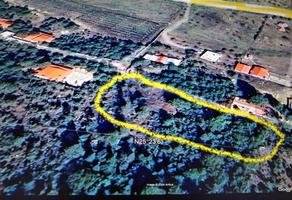 Foto de inmueble en Terreno en Los LiriosArteaga, Col. Arteaga Centro C.P. 25350, Arteaga