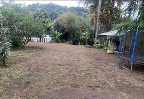 Foto de inmueble en Terreno en Venta en Banderilla, Col. Banderilla Centro C.P. 91300, Banderilla