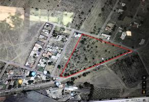 Foto de terreno habitacional en venta en terreno rustico nopalatenco n/p , san lorenzo tlalmimilolpan, teotihuacán, méxico, 0 No. 01