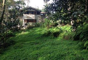 Foto de inmueble en  , Col. Tlalnelhuayocan C.P. 91230, Tlalnelhuayocan