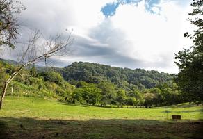 Foto de inmueble en  , Col. Tlalnelhuayocan C.P. 91230, Tlalnelhuayocan