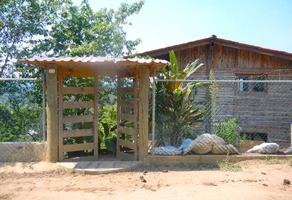 Foto de inmueble en  , Col. Tlalnelhuayocan C.P. 91230, Tlalnelhuayocan