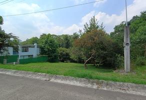 Foto de inmueble en  , Col. Tlalnelhuayocan C.P. 91230, Tlalnelhuayocan