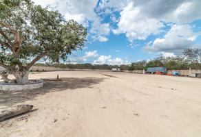 Foto de terreno comercial en venta en umán , merida centro, mérida, yucatán, 24676850 No. 01