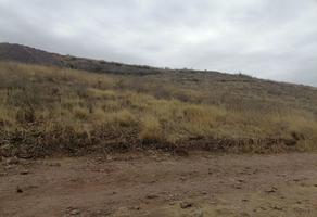 Foto de terreno habitacional en venta en  , valle de la madrid, chihuahua, chihuahua, 0 No. 01