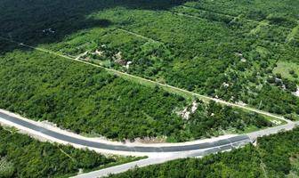 Foto de terreno habitacional en venta en 0 , tixpehual, tixpéhual, yucatán, 0 No. 01