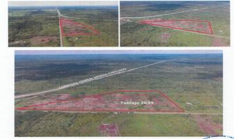 Foto de terreno habitacional en venta en 1 , acanceh, acanceh, yucatán, 0 No. 01