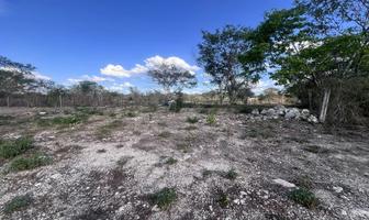 Foto de terreno habitacional en venta en 1 , chichi suárez, mérida, yucatán, 30103603 No. 01