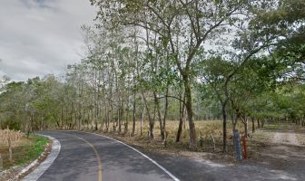 Foto de terreno habitacional en venta en Cotaxtla, Cotaxtla, Veracruz de Ignacio de la Llave, 6536101,  no 01