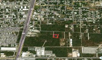 Foto de terreno habitacional en venta en 53c , chichi suárez, mérida, yucatán, 0 No. 01