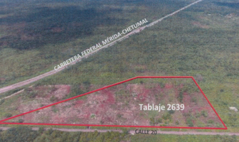 Foto de terreno habitacional en venta en  , acanceh, acanceh, yucatán, 0 No. 01