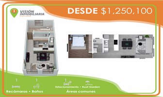 Foto de departamento en venta en alamitos , benigno arriaga, san luis potosí, san luis potosí, 0 No. 01