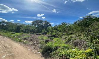Foto de terreno habitacional en venta en  , kanasin, kanasín, yucatán, 27871982 No. 01