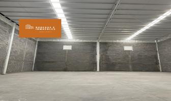 Foto de nave industrial en renta en  , la puerta, santa catarina, nuevo león, 0 No. 01