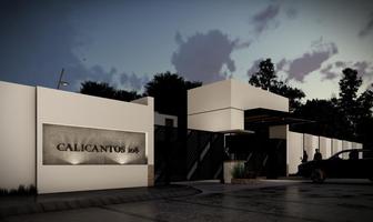 Foto de terreno habitacional en venta en  , los calicantos, aguascalientes, aguascalientes, 0 No. 01