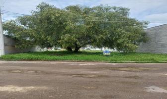 Foto de terreno habitacional en venta en  , los calicantos, aguascalientes, aguascalientes, 0 No. 01