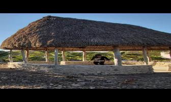 Foto de terreno habitacional en venta en  , progreso de castro centro, progreso, yucatán, 24273124 No. 01