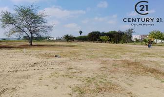 Foto de terreno habitacional en venta en  , residencial del parque, ciudad madero, tamaulipas, 0 No. 01
