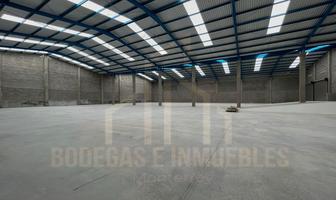 Foto de bodega en renta en  , santa catalina, santa catarina, nuevo león, 28137625 No. 01
