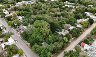Foto de terreno habitacional en venta en . , ticopo, acanceh, yucatán, 0 No. 01