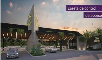 Foto de terreno habitacional en venta en  , tixpehual, tixpéhual, yucatán, 0 No. 01