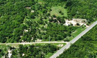 Foto de terreno habitacional en venta en  , tixpehual, tixpéhual, yucatán, 28393563 No. 01