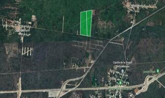 Foto de terreno habitacional en venta en  , tixpehual, tixpéhual, yucatán, 0 No. 01
