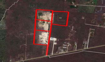 Foto de terreno habitacional en venta en  , tixpehual, tixpéhual, yucatán, 7860547 No. 01