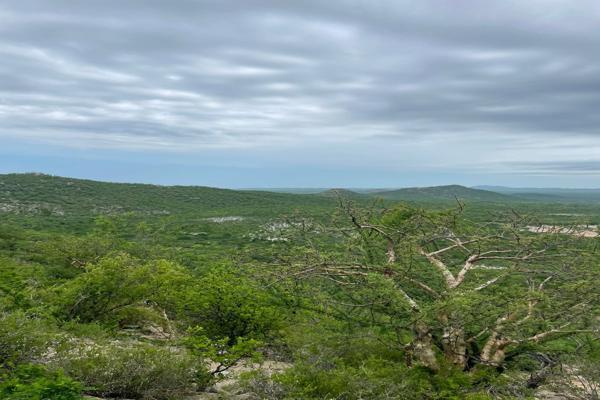 Foto de inmueble en Demasias De La Laguna, Col. El Encanto de la Laguna C.P. 23403, Los Cabos