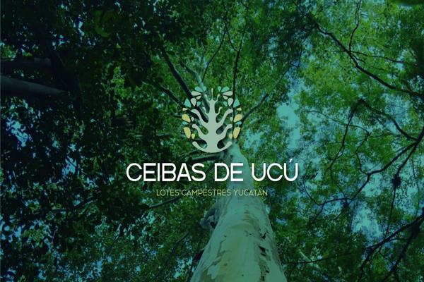 Foto de inmueble en s/n, Col. Ucu C.P. 97357, Ucú