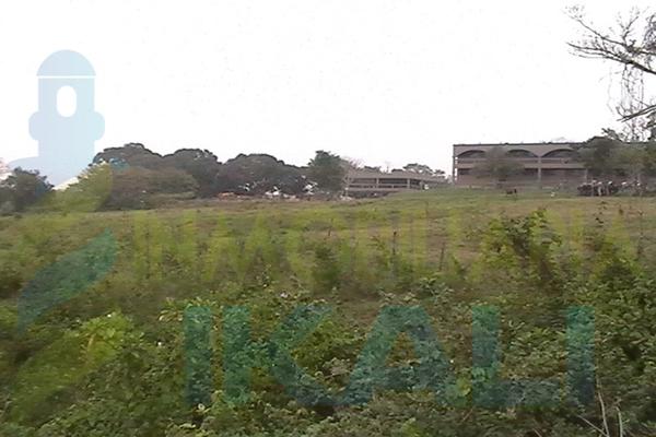 Foto de terreno habitacional en venta en  , 23 de noviembre, tuxpan, veracruz de ignacio de la llave, 1532665 No. 03