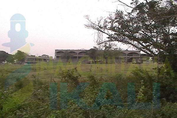 Foto de terreno habitacional en venta en  , 23 de noviembre, tuxpan, veracruz de ignacio de la llave, 1532665 No. 06