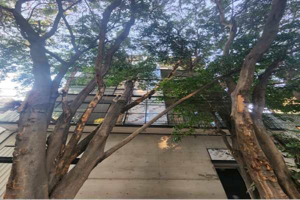 Foto de inmueble en Avenida Tamaulipas #s/n, Col. Hipódromo C.P. 06100, Cuauhtémoc