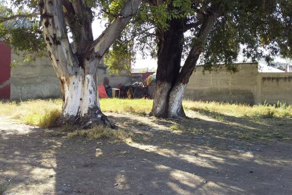 Foto de inmueble en Luis Spota, Col. San Simón Ticumac C.P. 03660, Benito Juárez