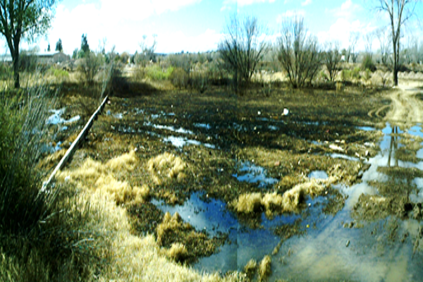 Foto de inmueble en FRACCIONAMIENTO LA HACIENDA #20 Y 21 MZ 3, Col. Rio Grande Centro C.P. 98420, Río Grande
