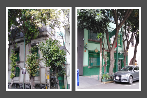 Foto de inmueble en Calle Popocatépetl 16 #16, Col. Hipódromo Condesa C.P. 06170, Cuauhtémoc