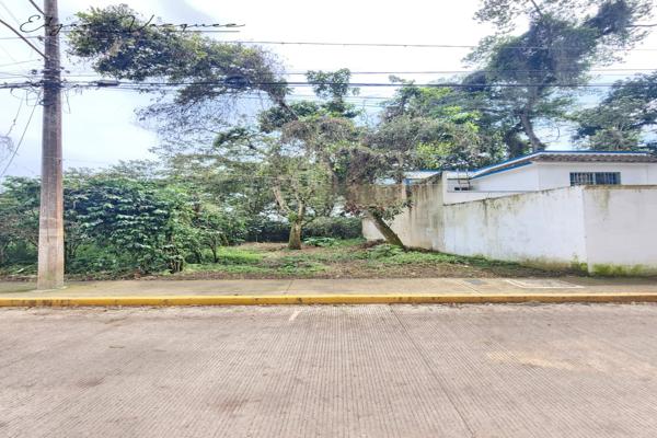 Foto de inmueble en Calle Juan de Dios Peza #s/n, Col. Los Prados C.P. 91576, Coatepec