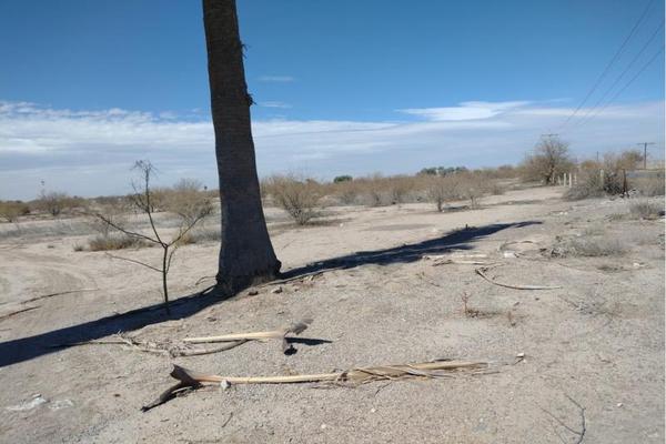 Foto de inmueble en  , Col. Agrícola La Popular C.P. 35120, Gómez Palacio
