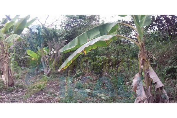 Foto de terreno habitacional en venta en  , arroyo del maíz, poza rica de hidalgo, veracruz de ignacio de la llave, 6765769 No. 09