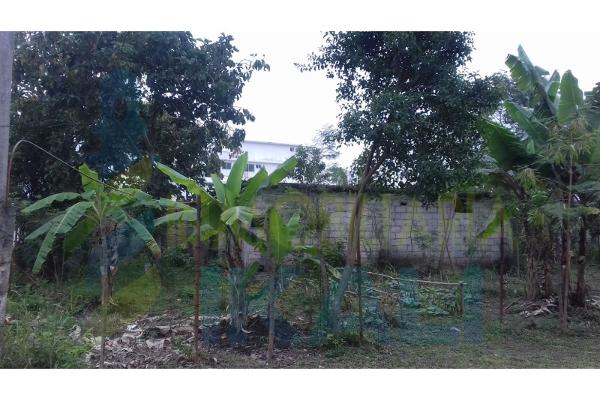 Foto de terreno habitacional en renta en  , arroyo del maíz, poza rica de hidalgo, veracruz de ignacio de la llave, 6812045 No. 03