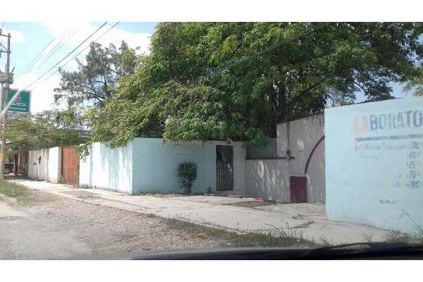 Foto de terreno comercial en venta en avenida insurgentes ctv1675 , villa gonzalez centro, gonzález, tamaulipas, 2420633 No. 03