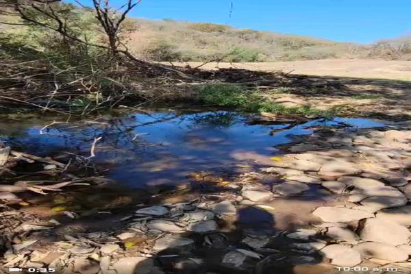 Foto de inmueble en Km 6 #Sin número, Col. Santa Inés C.P. 59970, Tocumbo