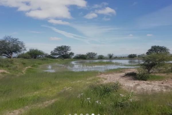 Foto de inmueble en C. Lázaro Cardenas, Col. Ojo de Agua de Crucitas C.P. 20335, El Llano