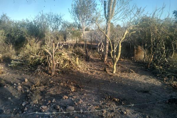 Foto de inmueble en calle palo fierro, Col. Ampliación Centenario C.P. 23205, La Paz