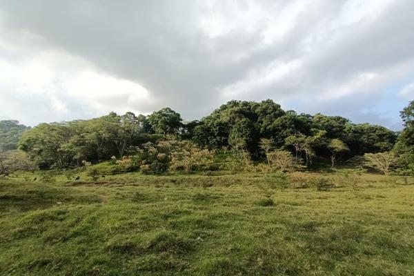 Foto de inmueble en Camino a Rancho Viejo #115, Col. Briones C.P. 91607, Coatepec